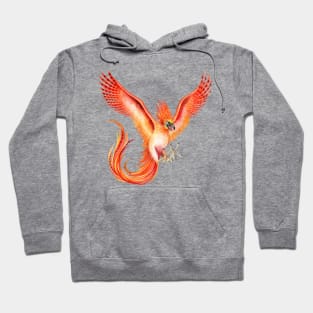 Red flying Phoenix Hoodie